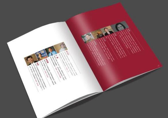 廣州公司宣傳畫(huà)冊(cè)設(shè)計(jì)印刷廠家 廣州企業(yè)畫(huà)冊(cè)設(shè)計(jì)印刷制作